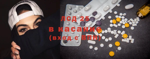 прущие грибы Верея