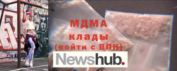 прущие грибы Верея