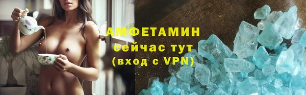 прущие грибы Верея