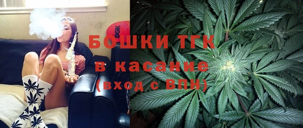 прущие грибы Верея