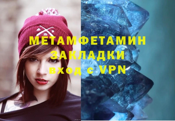 прущие грибы Верея