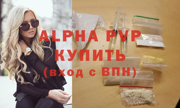 прущие грибы Верея