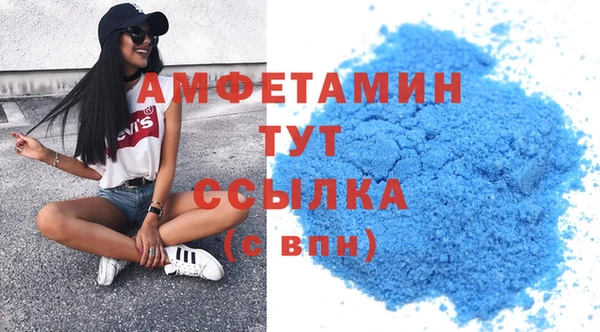 прущие грибы Верея