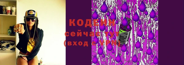 прущие грибы Верея