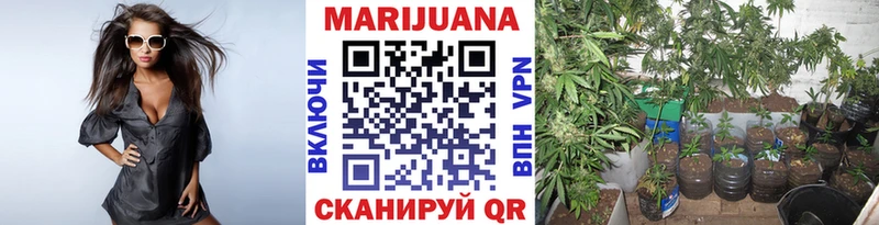 гидра как войти  Поворино  Канабис тримм  как найти закладки 